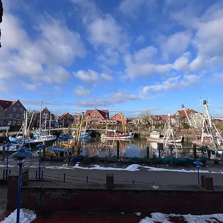 Hafen-studio's